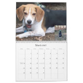 LOVEMAX 2013 KALENDER (Mar 2027)