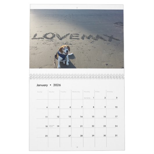 LOVEMAX 2015-kalender Kalender (Jan 2026)