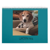 LOVEMAX 2016 KALENDER (Hoes)