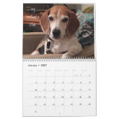 LOVEMAX 2016 KALENDER (Jan 2027)