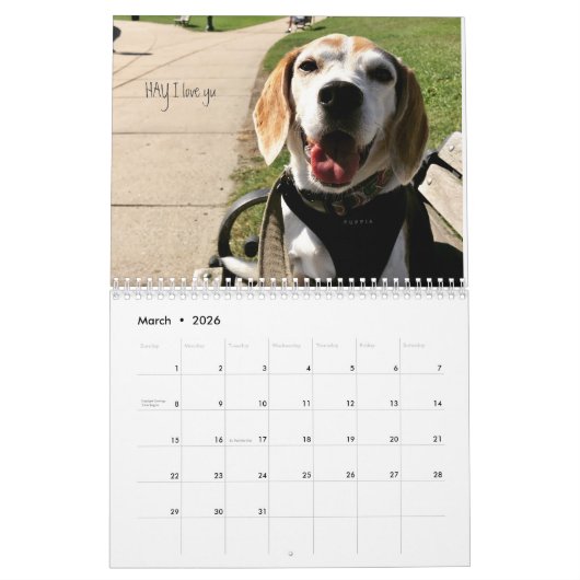 LOVEMAX 2018 KALENDER (Mar 2026)