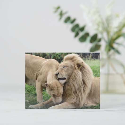 Lover Lions Briefkaart (Staand voorkant)