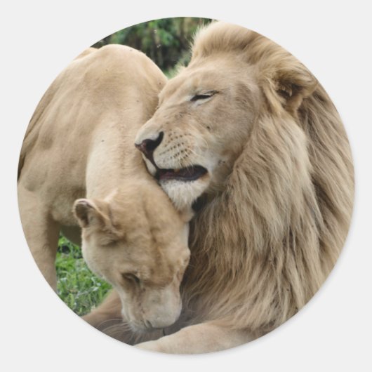 Lover Lions Sticker (Voorkant)