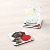 Lover Valentijn Havanese Puppy Dog Drankjes Onderzetter (Rechterzijde)