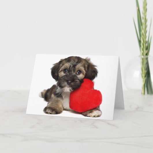 Lover Valentijn Havanese Puppy Dog Feestdagen Kaart (Voorkant)