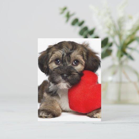 Lover Valentijn Havanese Puppy Dog Feestdagenkaart (Staand voorkant)