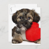 Lover Valentijn Havanese Puppy Dog Feestdagenkaart (Voorkant / Achterkant)