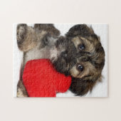 Lover Valentijn Havanese Puppy Dog Legpuzzel (Horizontaal)