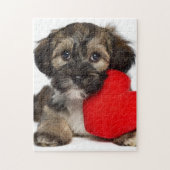 Lover Valentijn Havanese Puppy Dog Legpuzzel (Verticaal)