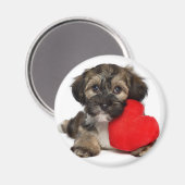 Lover Valentijn Havanese Puppy Dog Magneet (Voorkant / Achterkant)