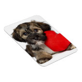 Lover Valentijn Havanese Puppy Dog Magneet (Rechterzijde)