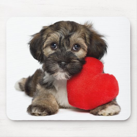 Lover Valentijn Havanese Puppy Dog Muismat (Voorkant)