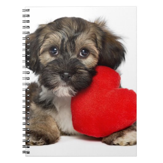 Lover Valentijn Havanese Puppy Dog Notitieboek (Voorkant)