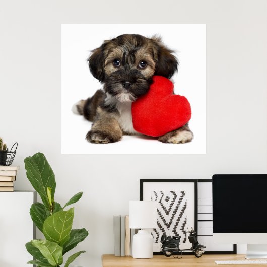 Lover Valentijn Havanese Puppy Dog Poster (Thuiskantoor)