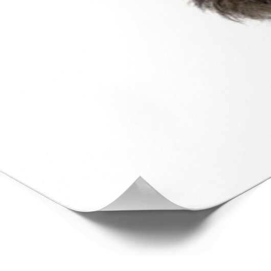 Lover Valentijn Havanese Puppy Dog Poster (Hoek)