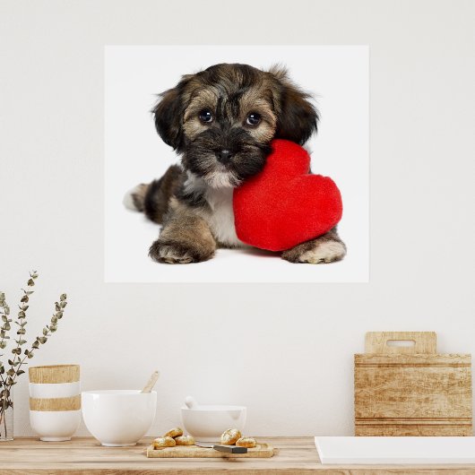 Lover Valentijn Havanese Puppy Dog Poster (Keuken)