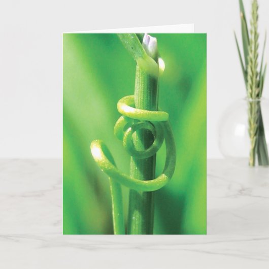 Lover's Embrace, Twisted Tendril Vine, ik mis je Kaart (Voorkant)