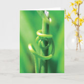 Lover's Embrace, Twisted Tendril Vine, ik mis je Kaart (Gele Bloem)