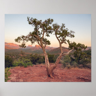 Lovers Knoll Zonsondergang in Sedona Poster