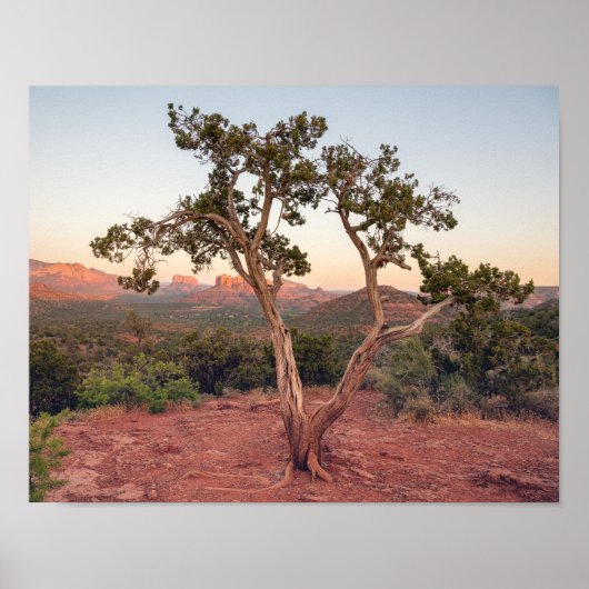 Lovers Knoll Zonsondergang in Sedona Poster (Voorkant)