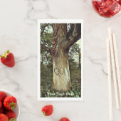 Lovers Tree Servet (Insitu)