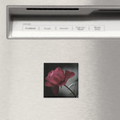 Love's Beauty Magnet (Insitu (Vaatwasser))