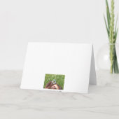 LovesU3, - Happy Birthday Kaart (Achterkant)