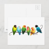 Lovevogels Briefkaart (Voorkant / Achterkant)