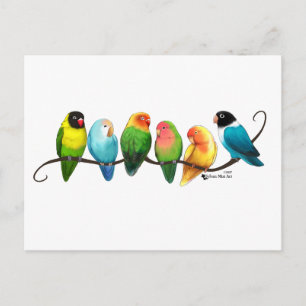 Lovevogels Briefkaart