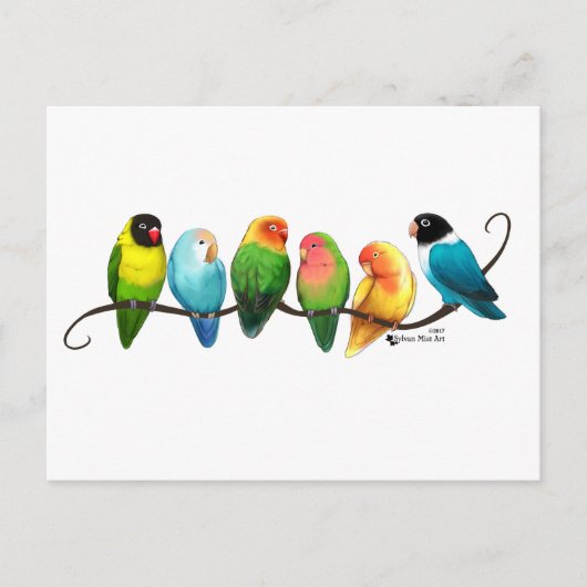 Lovevogels Briefkaart (Voorkant)