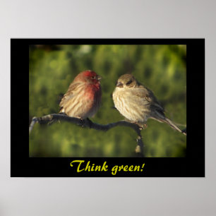 Lovevogels denken groen poster