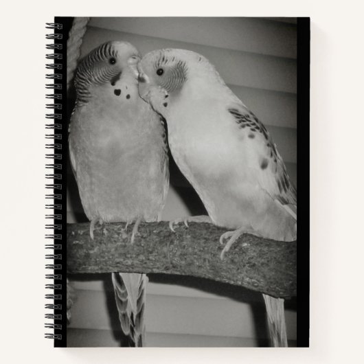 Lovevogels Notitieboek (Voorkant)