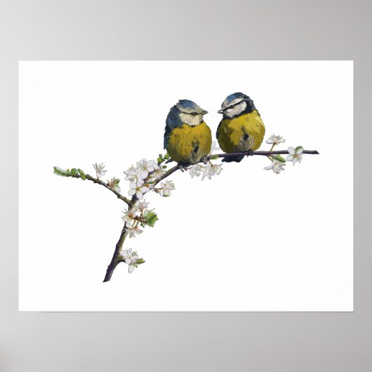 Lovevogels op een kerry blossom tak wit poster (Voorkant)