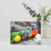 Lovey-Dovey Parrots Briefkaart (Staand voorkant)
