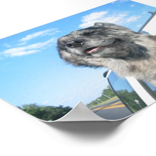 Lovin' Life Poster (Hoek)