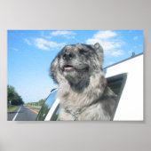 Lovin' Life Poster (Voorkant)