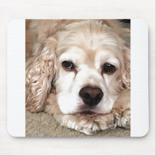 *** LOVING COCKER SPANIEL** MUISMAT