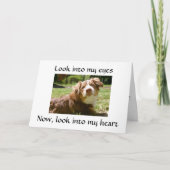 LOVING DOGGIE GEEFT DETAILS OVER HET MISSEN VAN "J KAART (Voorkant)