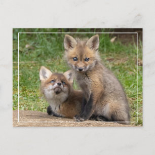 Loving Eyes Briefkaart