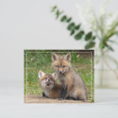 Loving Eyes Briefkaart (Staand voorkant)