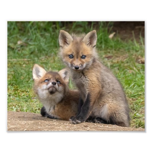 Loving Eyes Foto Afdruk (Voorkant)