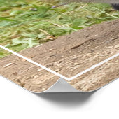 Loving Eyes Poster (Hoek)