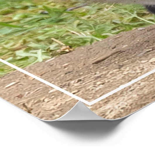 Loving Eyes Poster (Hoek)