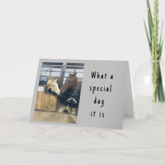 "LOVING HORSES" HAPPY BIRTHDAY KAART