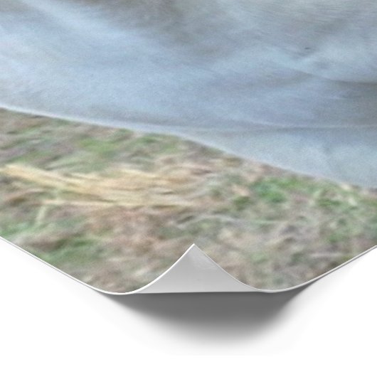 Loving Horses Poster (Hoek)