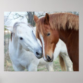 Loving Horses Poster (Voorkant)