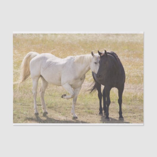 Loving Horses Tissuepapier (Voorkant)