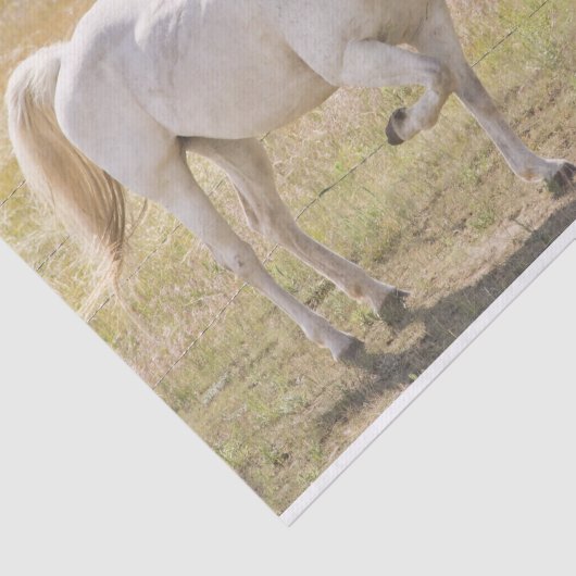 Loving Horses Tissuepapier (Detail)