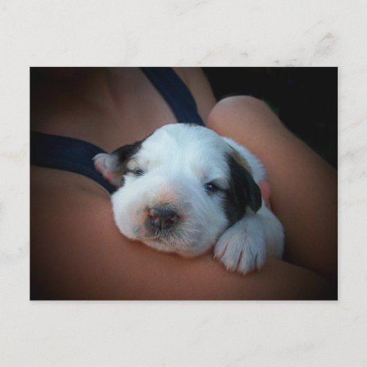 Loving Hug Briefkaart (Voorkant)