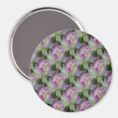 Loving Lotuses... Magneet (Voorkant / Achterkant)